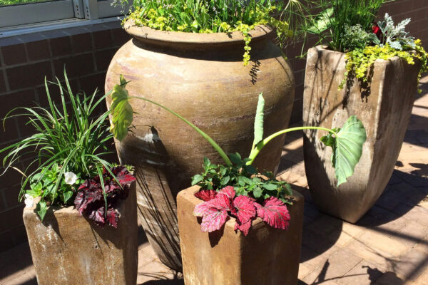 Tall planters at the entrance to the gardens